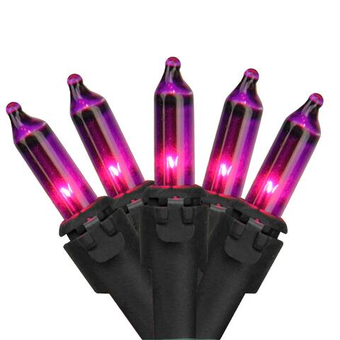 100 Purple Mini Incandescent Christmas Lights 2.5" Spacing Black Wire