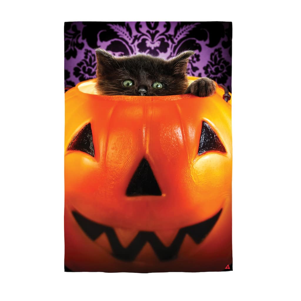 Kitten in Pumpkin Bucket Lustre House Flag