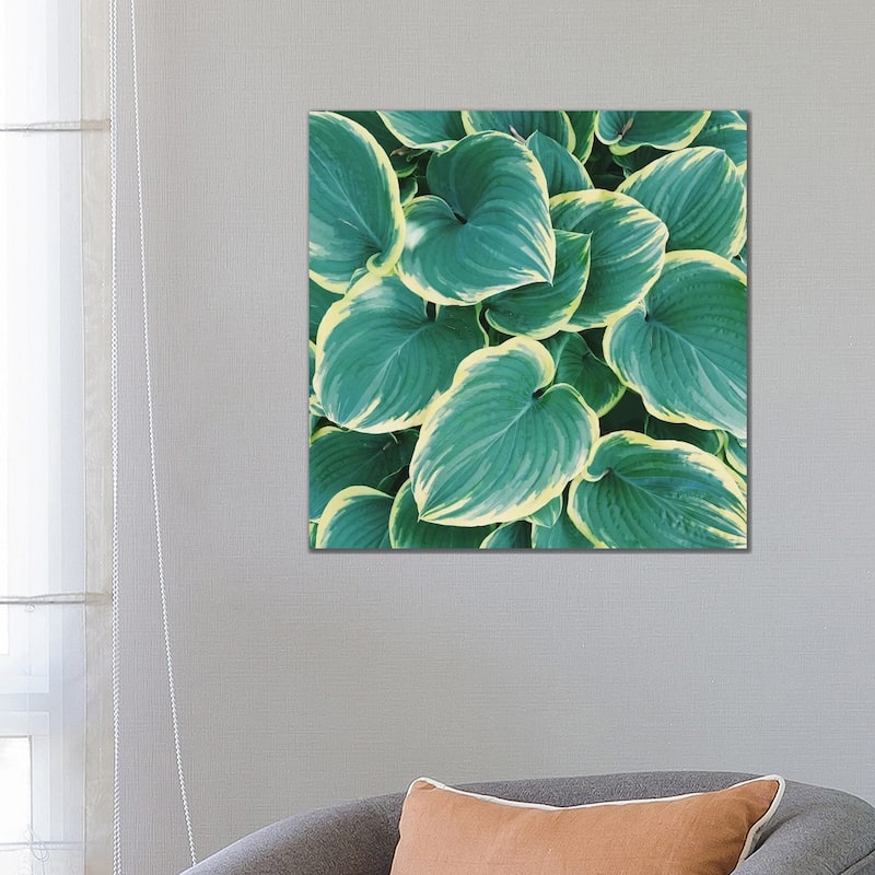 iCanvas "Some Like It Hosta" by Chelsea Victoria Canvas Print - 26x26x1.5