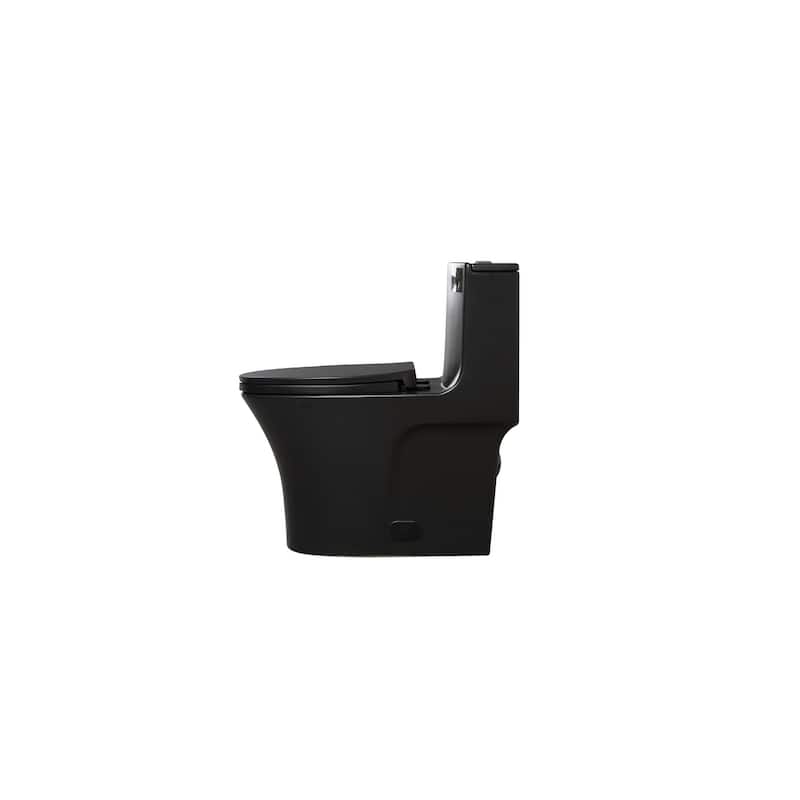 Matte Black One-Piece Toilet