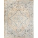 preview thumbnail 63 of 88, Nourison Astra Machine Washable Distressed Area Rug 7' 10" x 10' - Beige/Blue