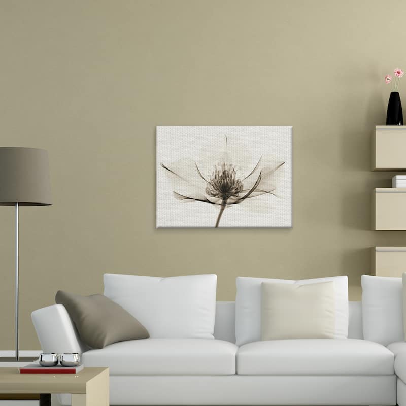 Hellebore I Canvas Art Print