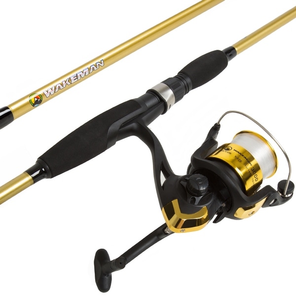 trout fishing pole combo
