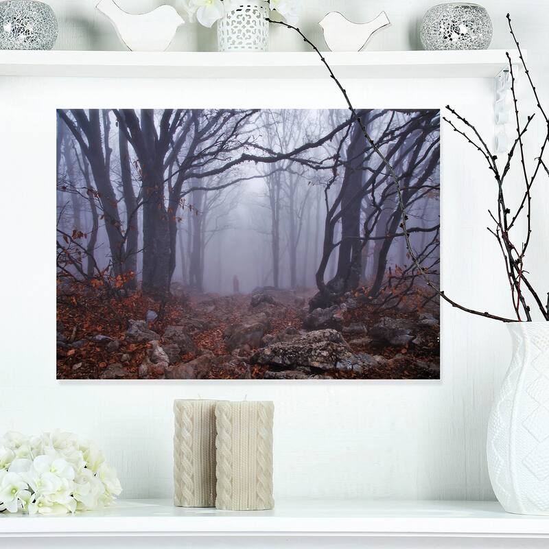 Dark Foggy Forest in Autumn - Landscape Photo Canvas Print - 20 in. wide x 12 in. high - 1 Panel