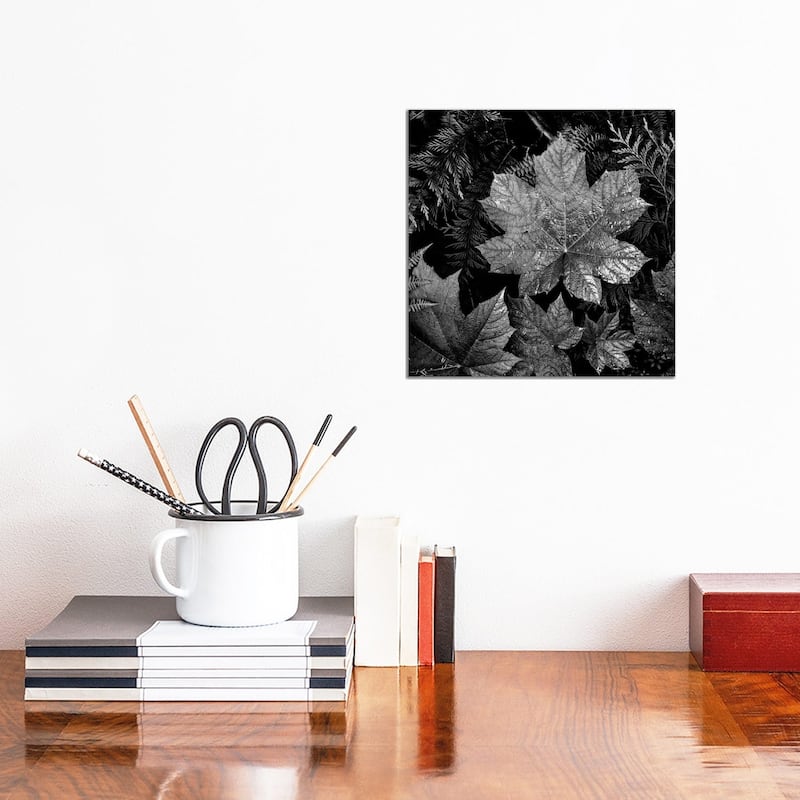 iCanvas "In Glacier National Park XXIII" by Ansel Adams Canvas Print - 12x12x0.75