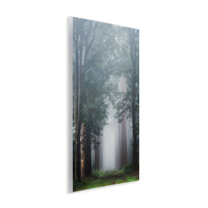 Stupell Calm Forest Clearing Wall Plaque Art Design By Martin Podt