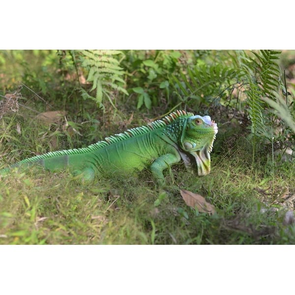 https://ak1.ostkcdn.com/images/products/is/images/direct/83f2159a5d23a54a6b7a7b8de42148445738dd9a/Lizard-Iguana.jpg?impolicy=medium