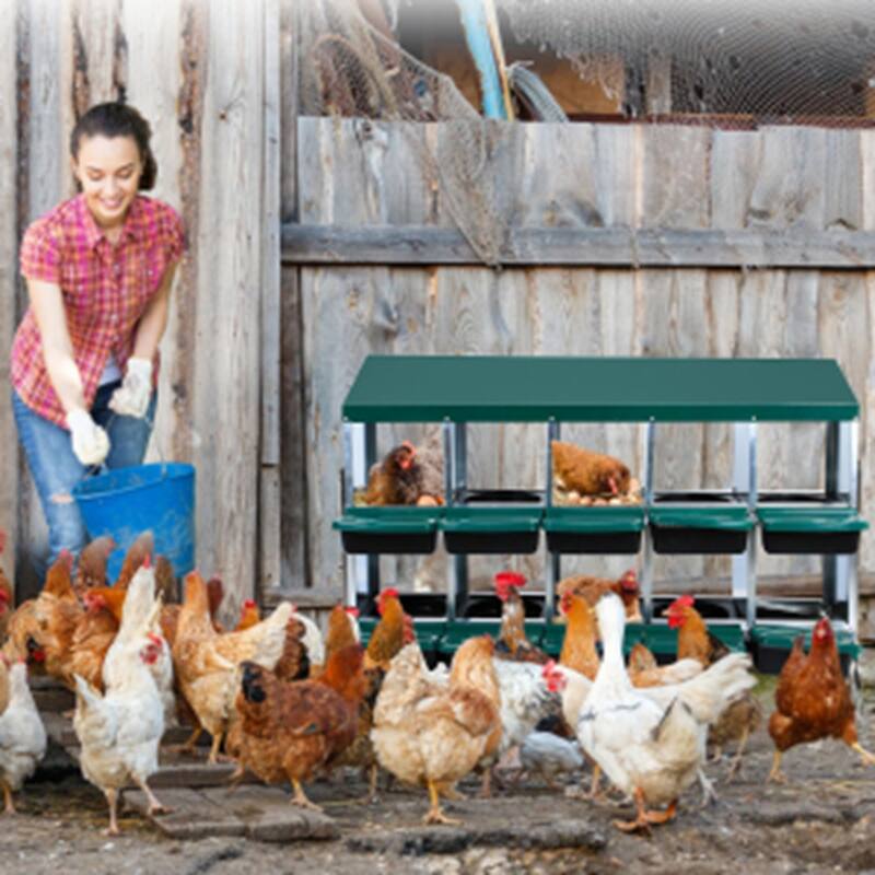 Metal Chicken Nesting Box