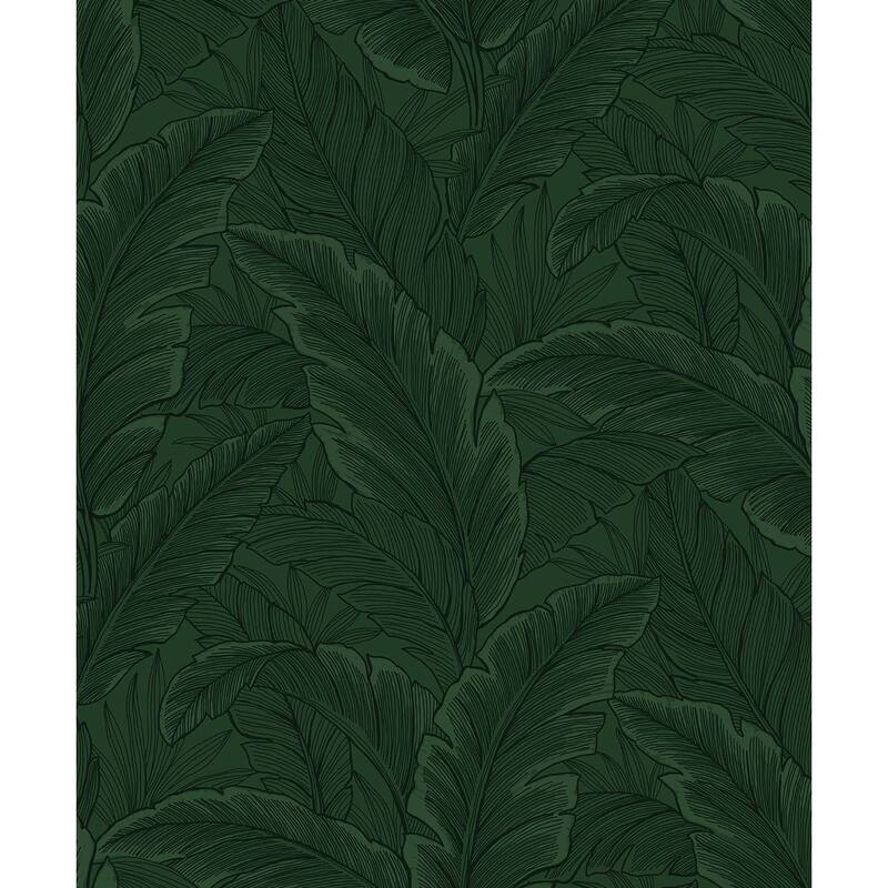Seabrook Designs Gulf Tropical Leaves Non-Woven Unpasted Wallpaper - 20.9 in. W x 33 ft. L - Forest Green