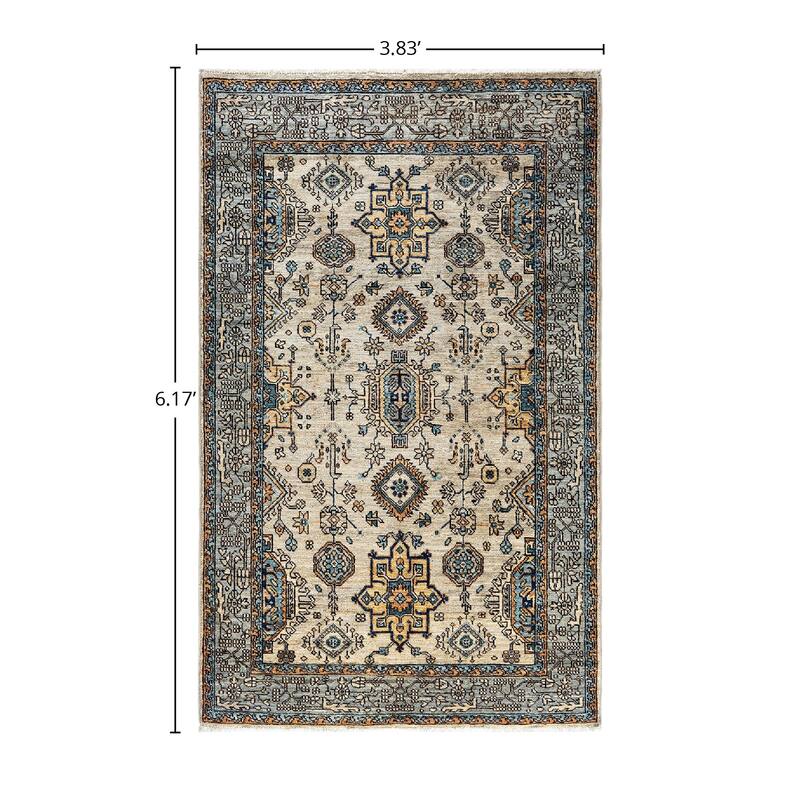 Serapi, One-of-a-Kind Hand-Knotted Area Rug - 3' 10" x 6' 2"