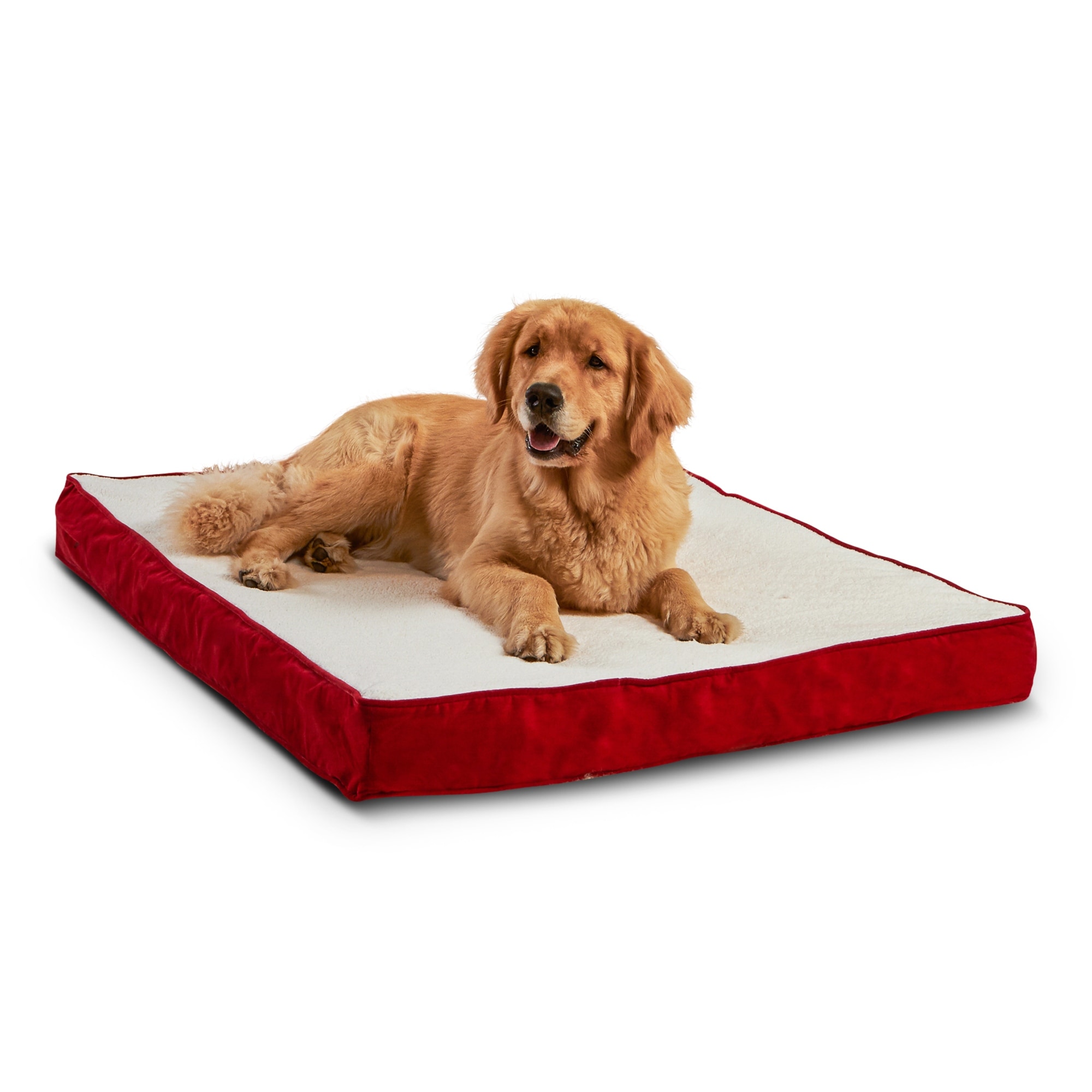 Bed bath and beyond orthopedic dog bed clearance