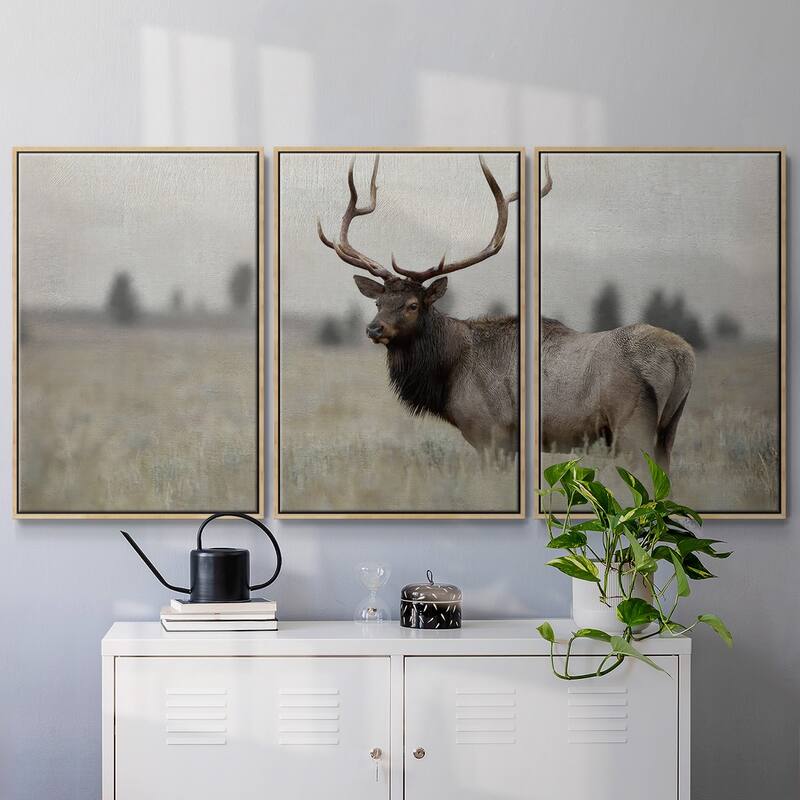 Grand Elk - Multi Piece Framed Canvas