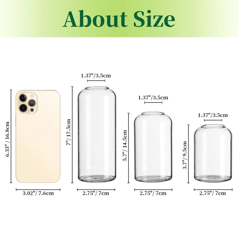 Glass Bud Vases for Flowers - Blown Modern Small Glass Vases for Centerpieces Set of 12, Mini Clear Bulk Flower Vases