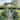 Romantic Metal Garden Arch Trellis Pergola Outdoor