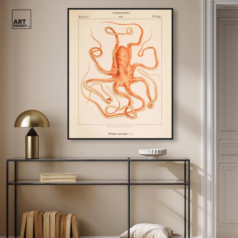 Verany The Octopus 1815 I Canvas by Art Remedy