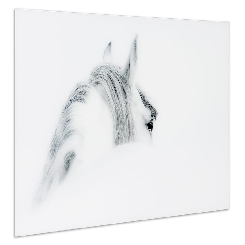 "Blanco Mare Horse" Frameless Free Floating Tempered Glass Panel Graphic Wall Art
