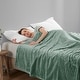 preview thumbnail 49 of 97, Empyrean Cut Plush Fleece Throw Blanket - Lightweight Super Soft Fuzzy Luxury Bed Blanket for Bed Full/Queen (90"x90") - Sage Green