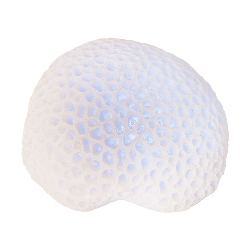 White Coral with Led Figurine - Blue