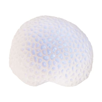 White Coral with Led Figurine - Blue