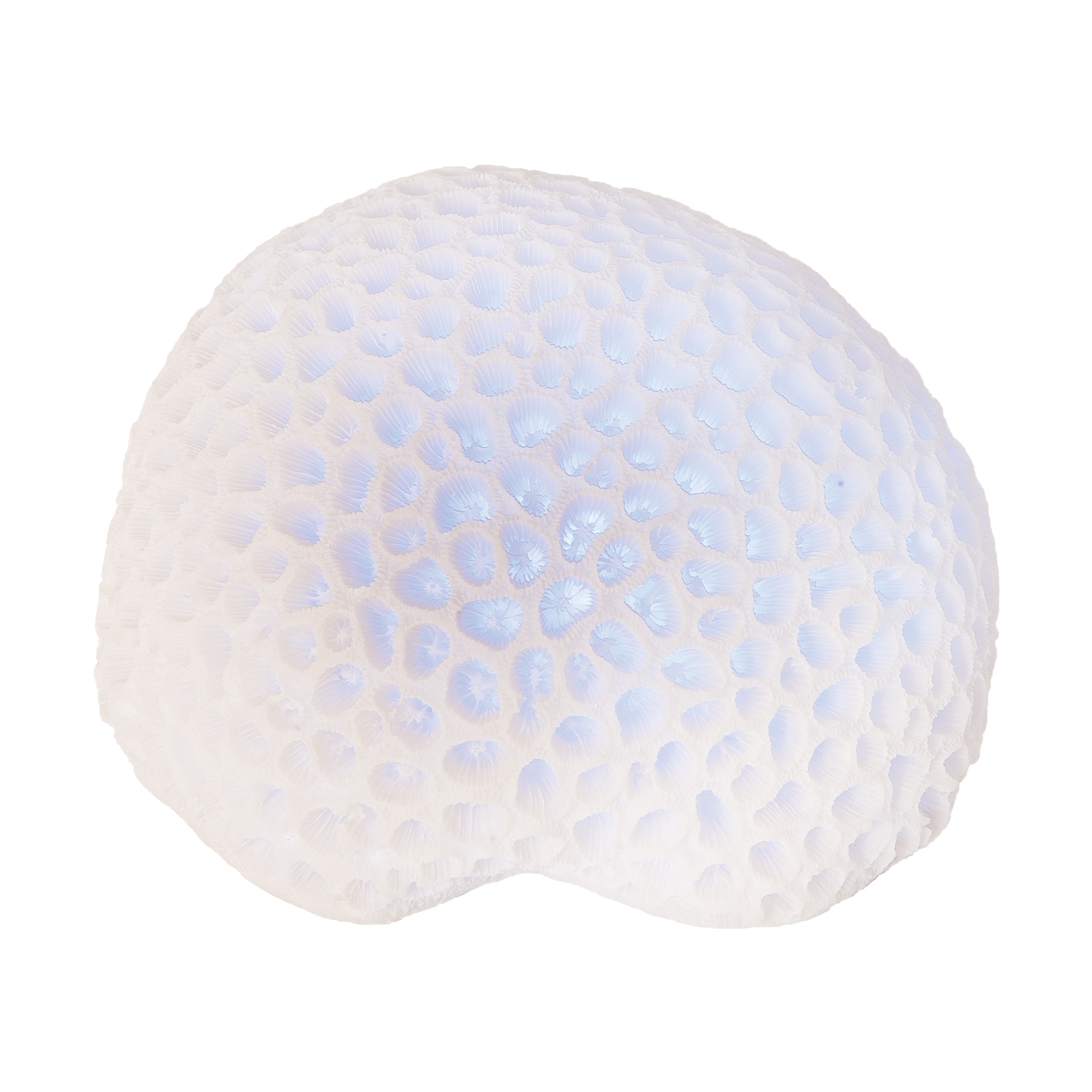 White Coral with Led Figurine - Blue
