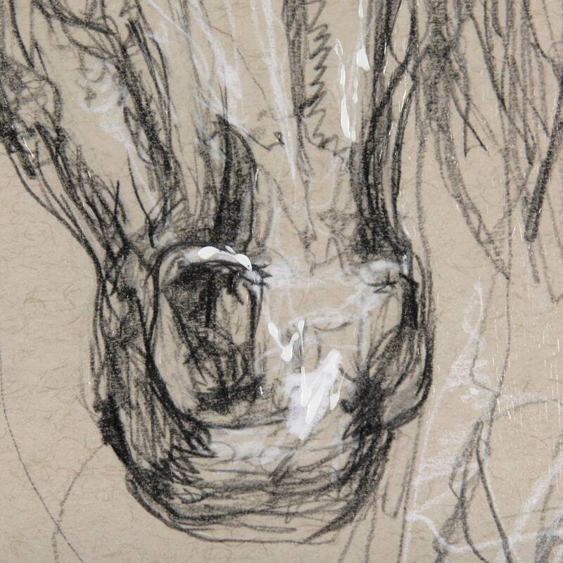Sketch of Animal VII (Horse) Framed Art Print