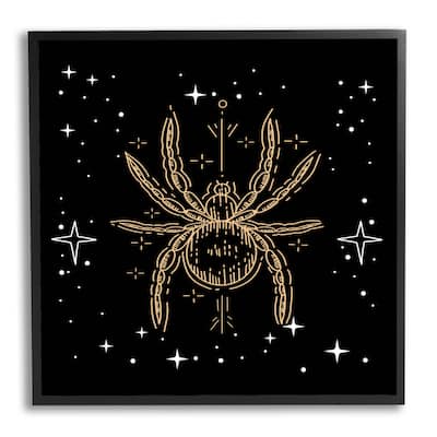 Stupell Industries Starry Halloween Spider Insect Framed Giclee Art, Design by Lil' Rue