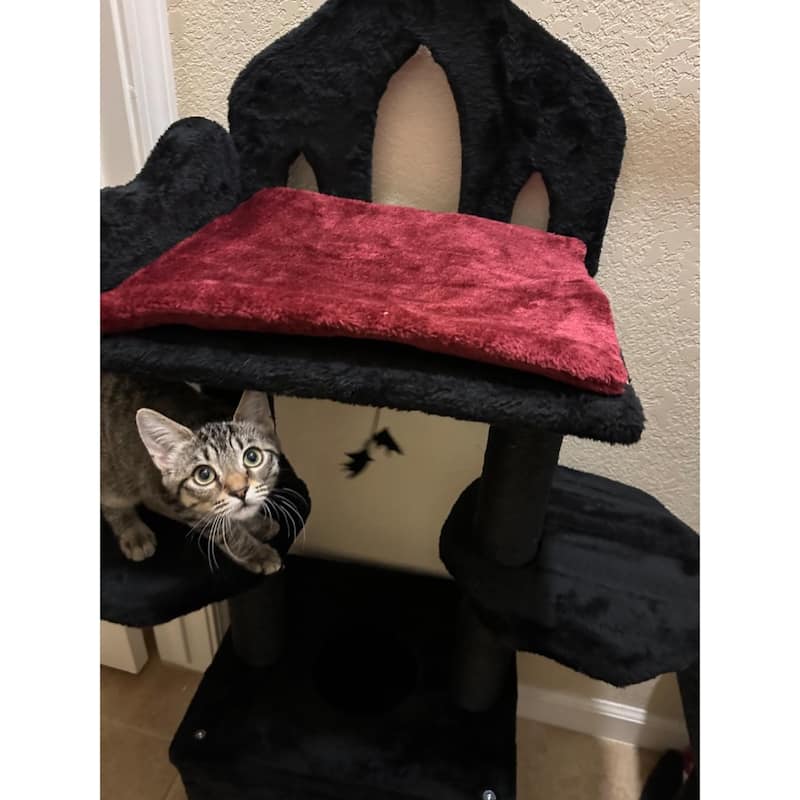 Triking Gothic Design Black Gothic Cat Tree,Easy Installation