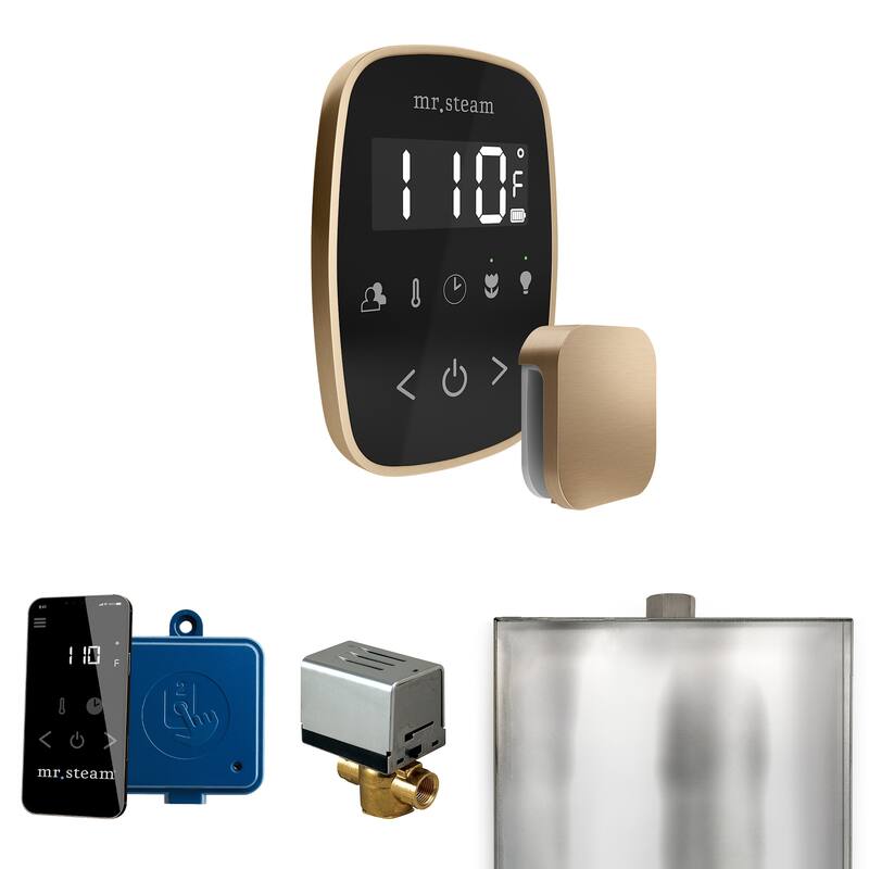 Mr Steam BF Butler Flex Package Steam Shower Control Package with - Black / Brushed Bronze