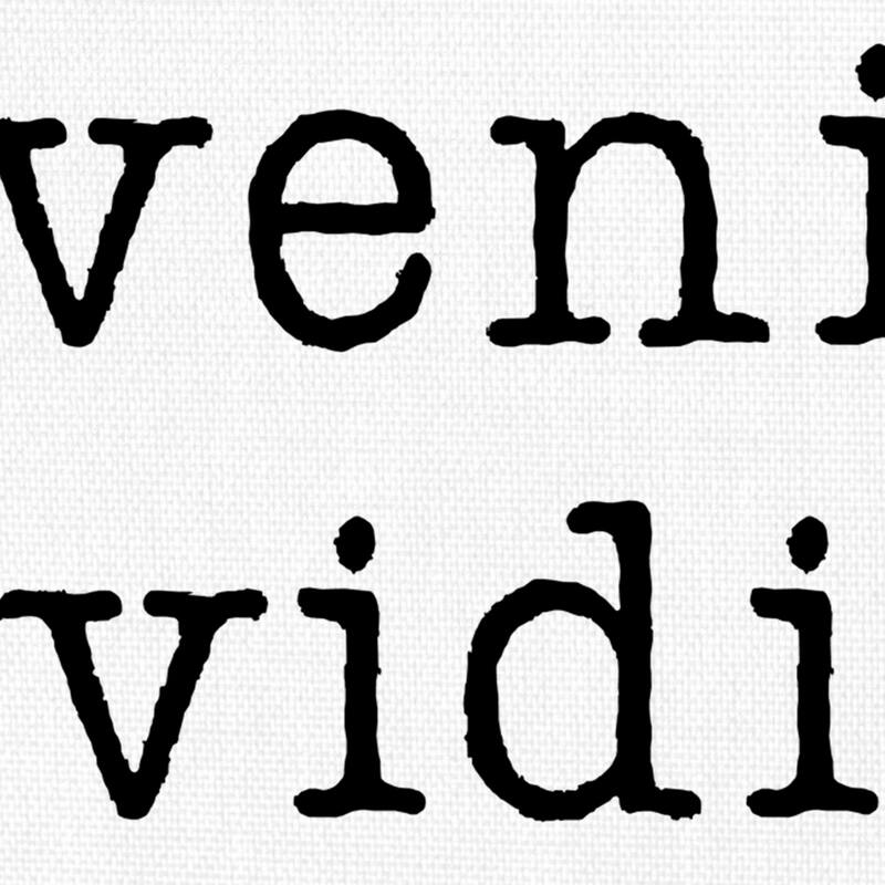 Veni Vidi Amavi Canvas Art Print