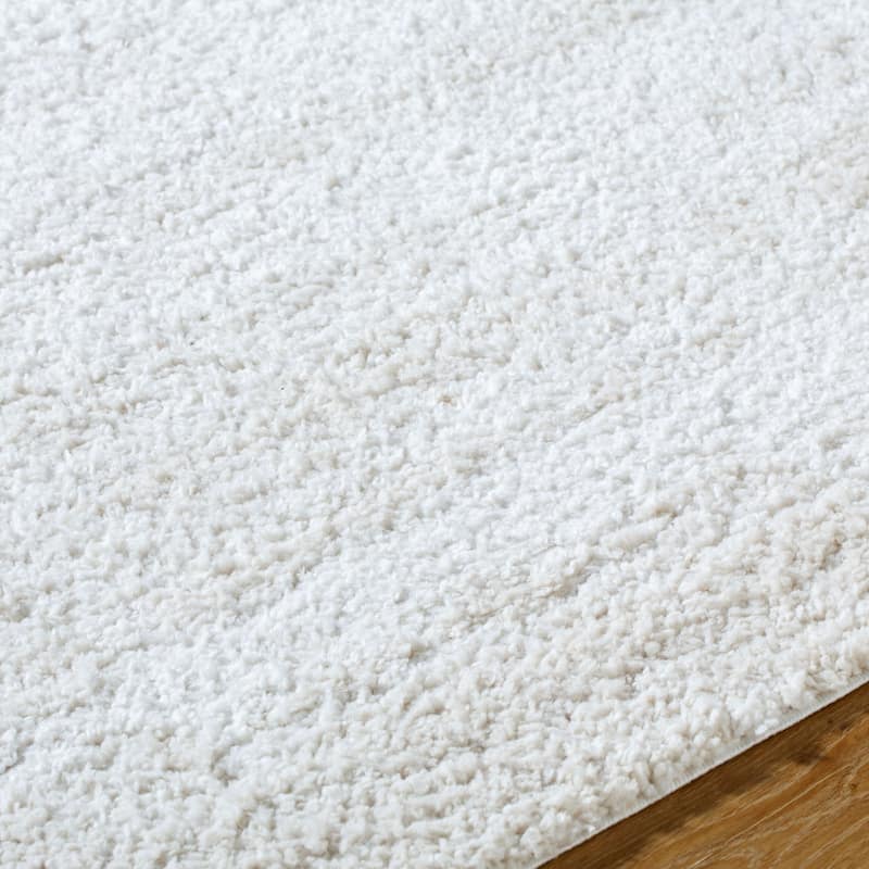 Livabliss Modern & Contemporary Sacramento Shag Ombre Area Rug
