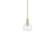Option Champagne Bronze / Clear