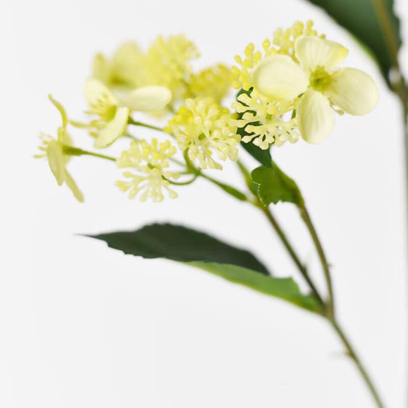 Yellow Silk Decorative Artificial Hydrangea(Pack of 1 Branch)
