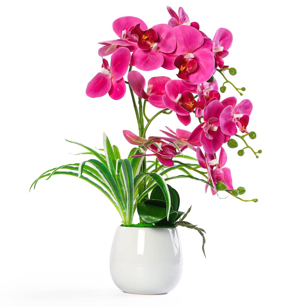 Artificial Orchid Plants and Flowers with Vase, Fake Faux Orchid in Ceramic Pot,19", Fuchsia