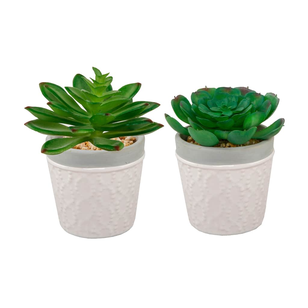 SET OF 2 Artificial Plant Succulent in 3" Dress Icecream Pot - ONE-SIZE