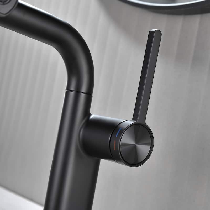 Single Handle Pull Out Bathroom Faucet with Sprayer Brass 1 Hole Matte Black Bathroom Sink Basin Faucets with Pull Out Sprayer