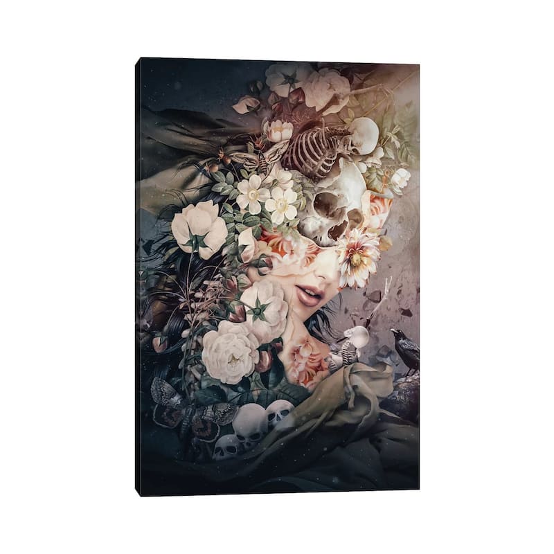 iCanvas "Dark To Light" by Riza Peker Canvas Print