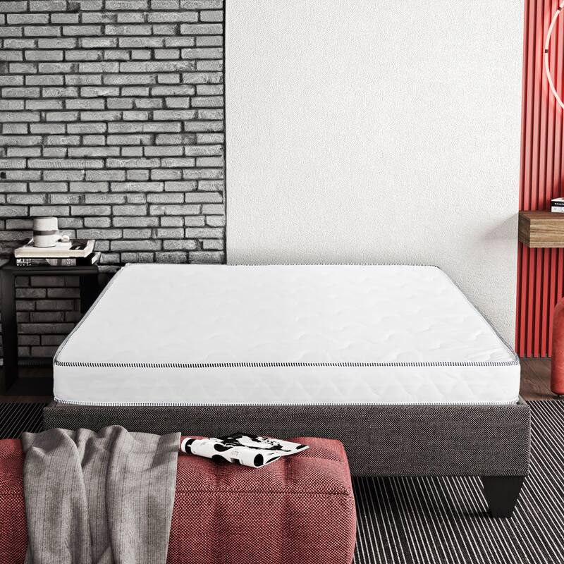 Suri 6 in. Firm Foam Bed in a Box Mattress