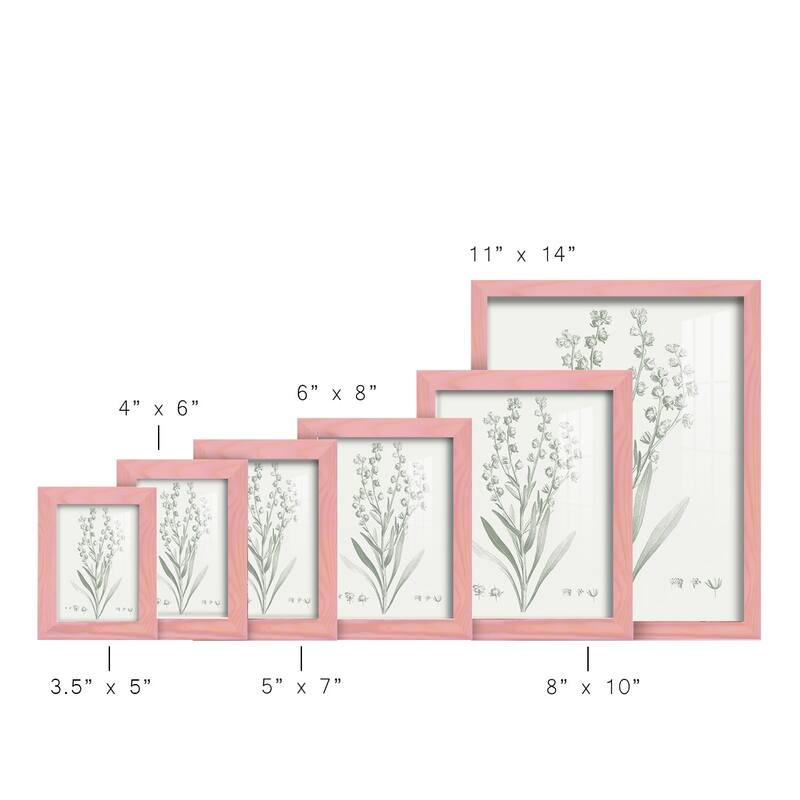 Botanical Study in Sage I -Framed Print w/glass-Cherry Red