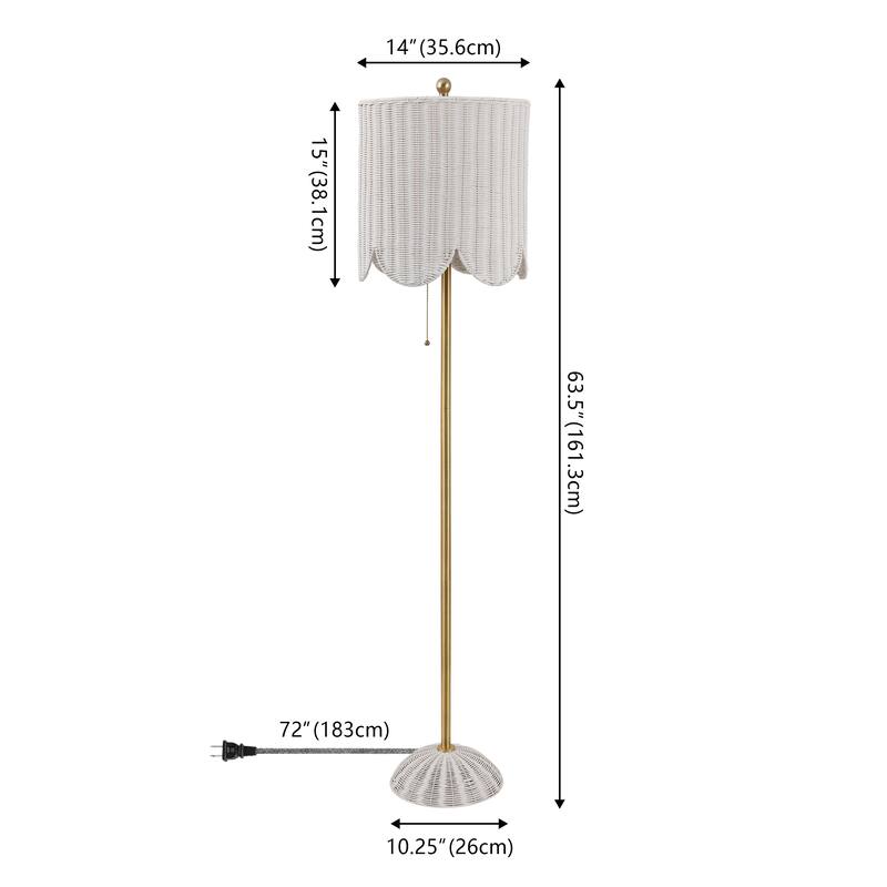 Joel 63.5" Rattan/Metal LED Floor Lamp with Pull Chain, By JONATHAN Y - 1-Light