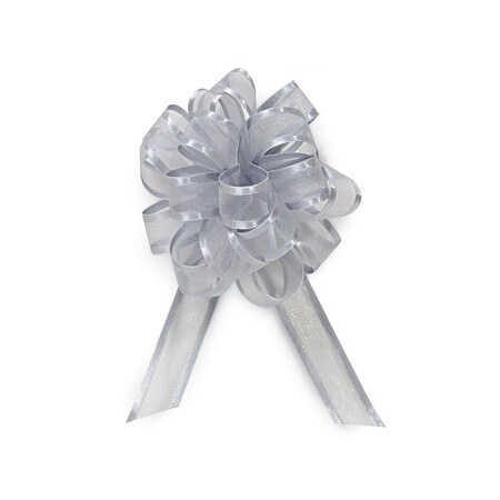 sheer silver ribbon