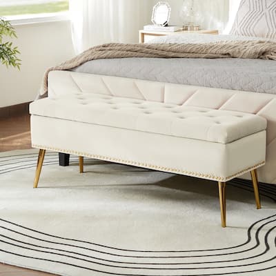 Neptunus Modern 45.5" W Velvet Bedroom Storage Bench for End of Bed with Nailhead Trim by HULALA HOME
