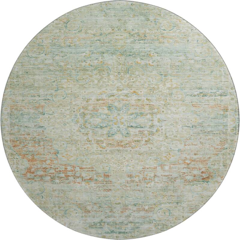 Premium Washable Super Soft Vintage Traditional Mayfield Rug
