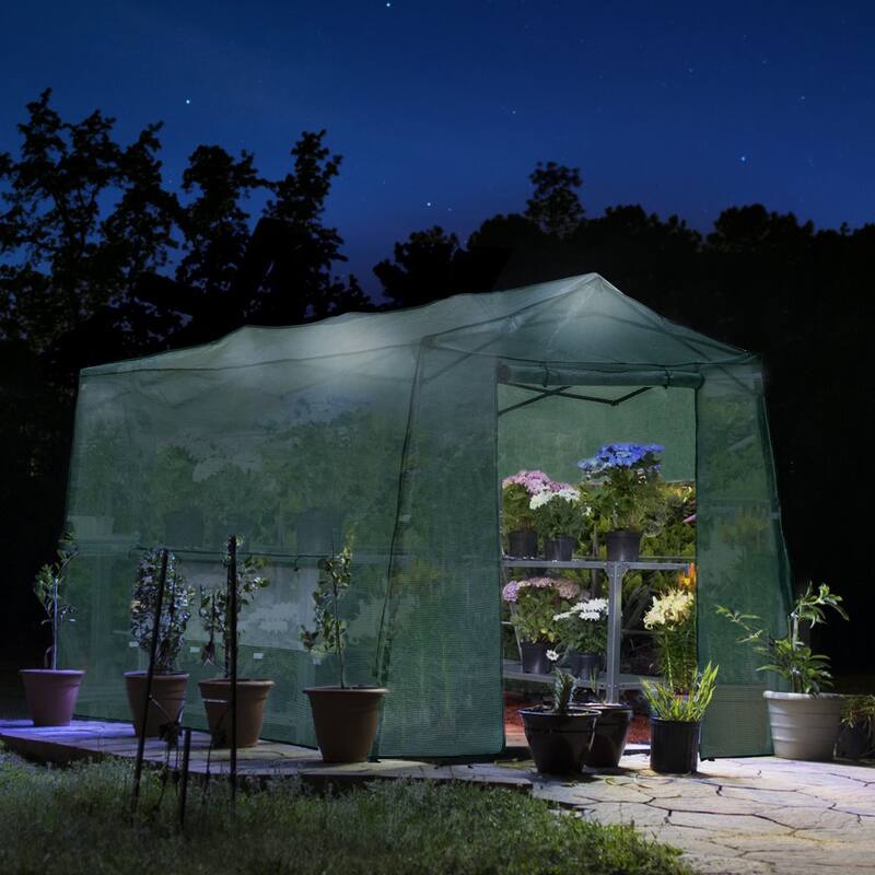 Cozywor Outdoor Green Pop-up Walk-in Greenhouse