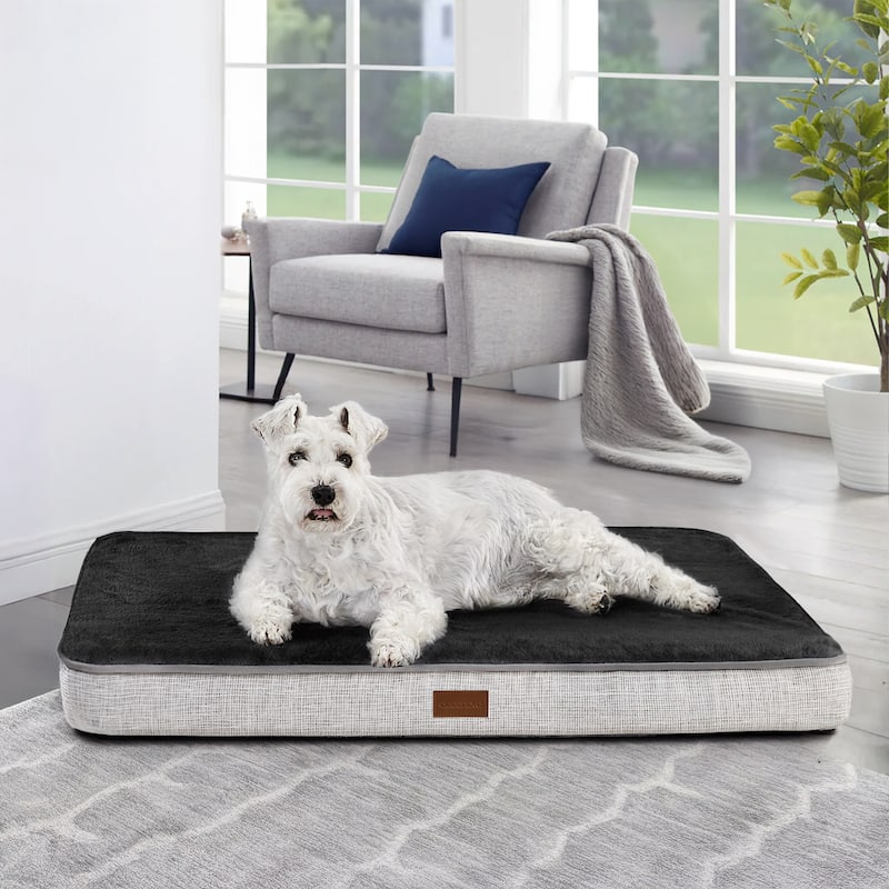 Orthopedic Dog Bed with Washable Cover - 44x32x3 - Light Grey/Black