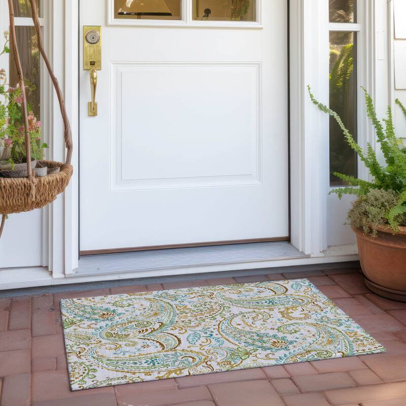 Machine Washable Indoor/ Outdoor Paisley Chantille Rug