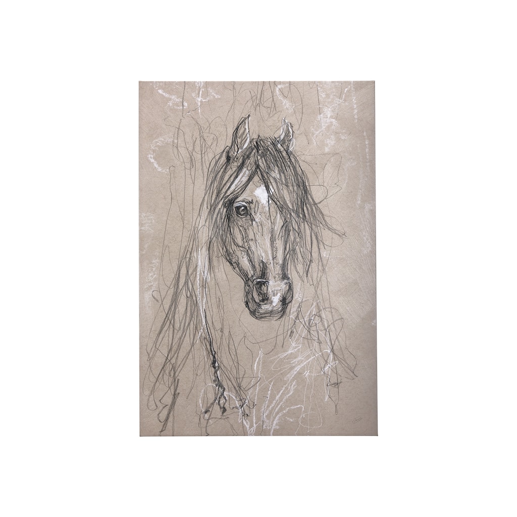 Sketch of Animal VII (Horse) (30 x 45) Canvas Art Print