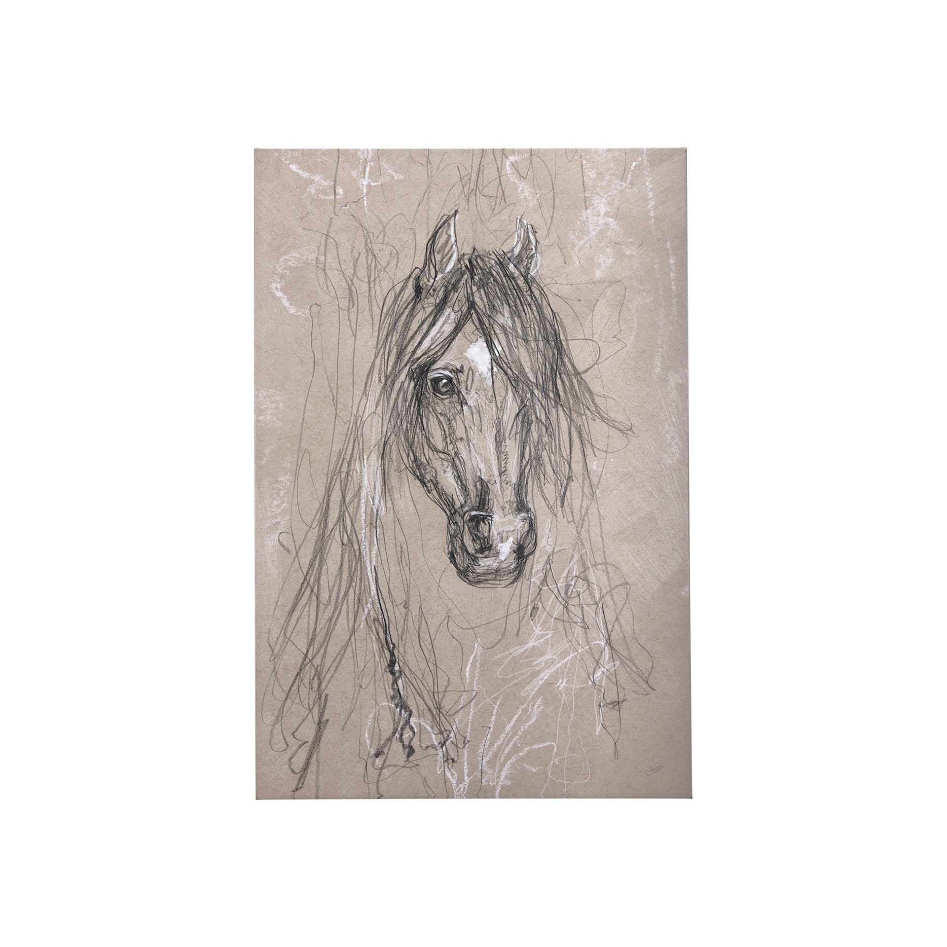Sketch of Animal VII (Horse) (30 x 45) Canvas Art Print