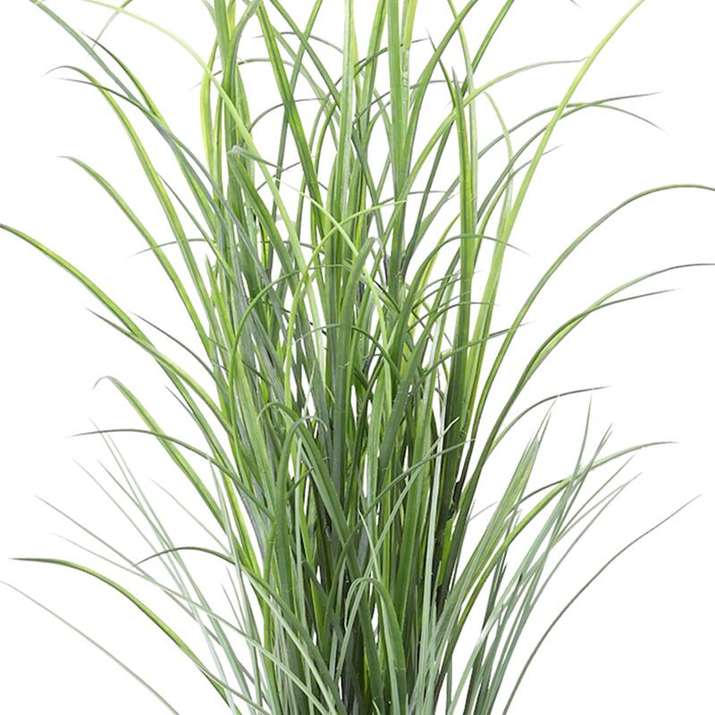 Grass in Strawgrass Planter - 39