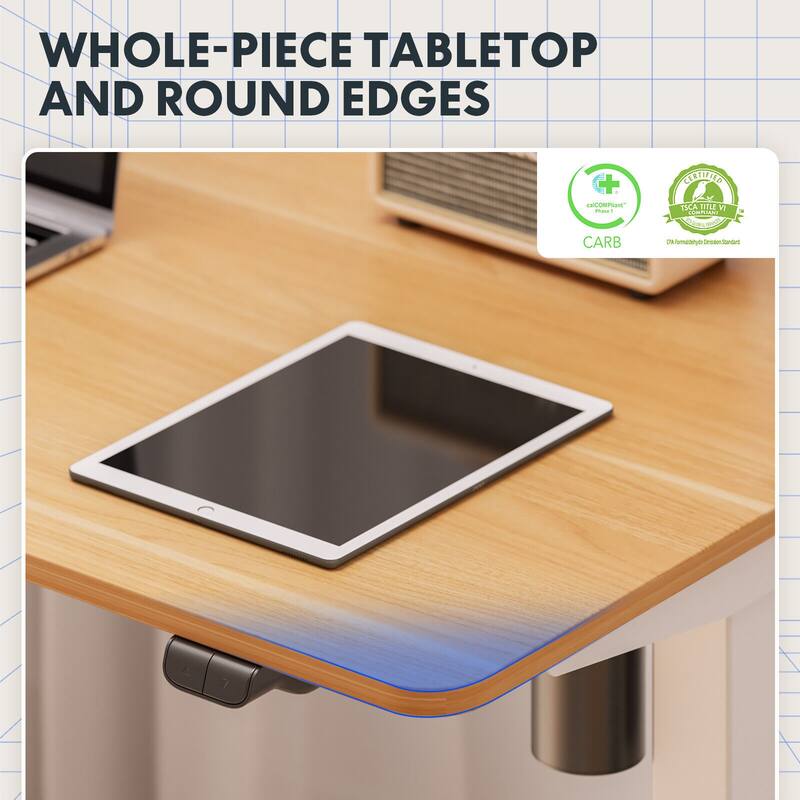 FlexiSpot Electric Standing Desk Whole-Piece Desk Board Computer Desk Height Adjustable Desk for Home Office