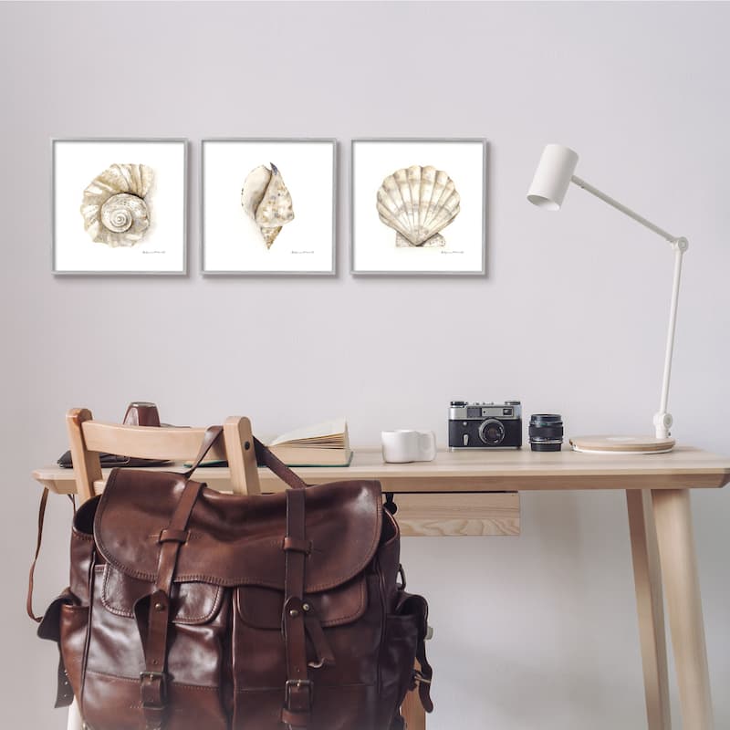 Stupell Soft White Patterned Seashells Nautical Natural Neutrals 3pc Multi Piece Framed Wall Art Set